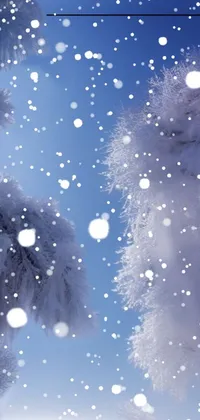 Winter Tree Live Wallpaper , 253 Forest Live Wallpapers, Animated