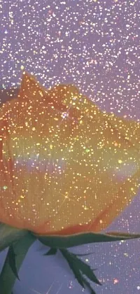 Astronomical Object Star Moisture Live Wallpaper