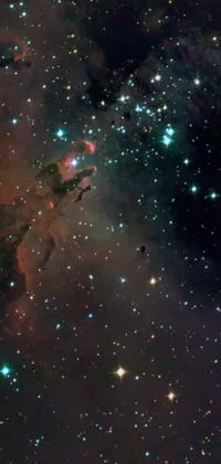 This live wallpaper features a stunning starry sky with numerous shining stars, complemented by a microscopic image and the captivating "pillars of creation"