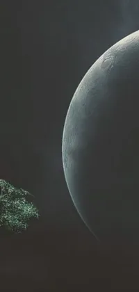The Moon Tree Live Wallpaper for your phone features a mesmerizing full moon as the background, with an eerie and captivating alien tree in the foreground