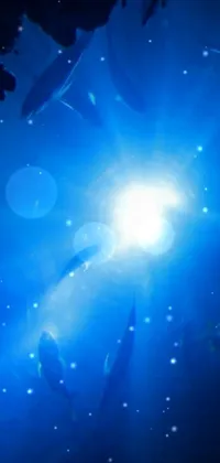 Atmosphere Astronomical Object Lens Flare Live Wallpaper