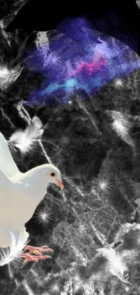 Discover a stunning live wallpaper for your phone featuring a white dove soaring through the air