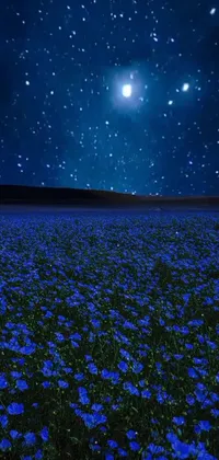 Atmosphere Blue People In Nature Live Wallpaper
