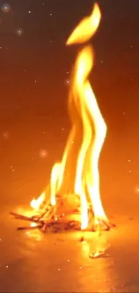 This phone live wallpaper offers a stunning close-up of a fire burning on a table