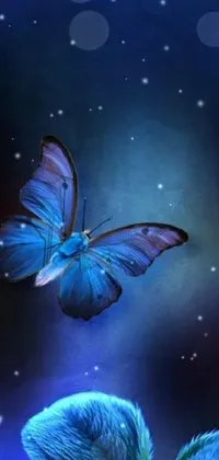 Atmosphere Butterfly Liquid Live Wallpaper