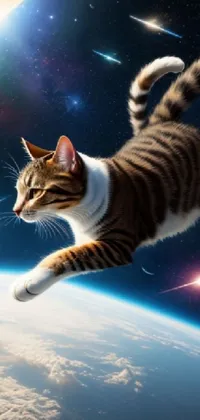 Atmosphere Cat Sky Live Wallpaper