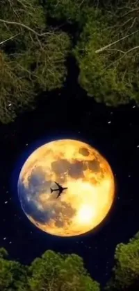 This live wallpaper showcases an enthralling scene with a plane gliding against the backdrop of a full moon, set amidst a dense forest