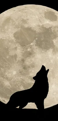 Atmosphere Dog Moon Live Wallpaper