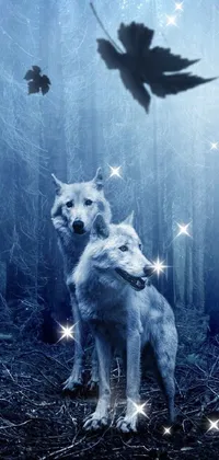 wolf Live Wallpaper