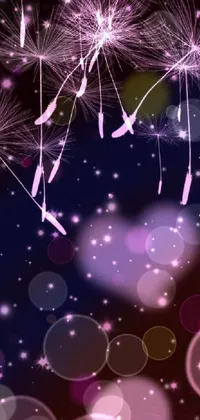 Atmosphere Fireworks Purple Live Wallpaper
