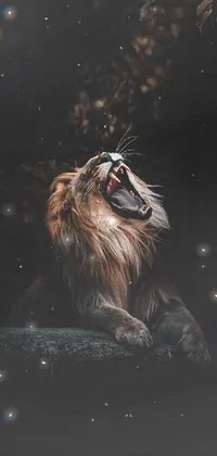 This phone live wallpaper showcases a powerful lion with its mouth wide open, against a dark rock backdrop