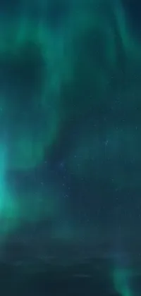 This mesmerizing phone live wallpaper features a stunning polar bear standing on a snowy field surrounded by a sea of magnificent nebula formations