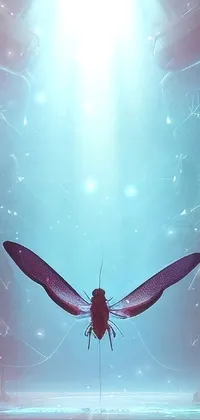 Atmosphere Insect Arthropod Live Wallpaper