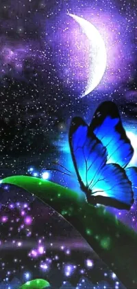 Atmosphere Insect Light Live Wallpaper