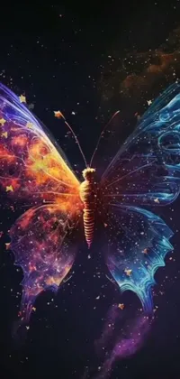 Atmosphere Insect Sky Live Wallpaper