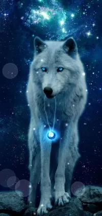 This phone live wallpaper shows a stunning white wolf standing atop a rocky formation, surrounded by holographic patterns and blue lights that create an ethereal and otherworldly feel