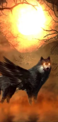 Transform your phone's home screen with this captivating live wallpaper featuring a stunning wolf standing in water during sunset in autumn