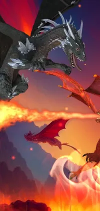 Fighting dragons Live Wallpaper