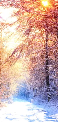 This phone live wallpaper showcases a stunning nature scene of sunlight filtering through trees in a snow-covered forest