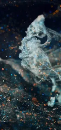This live wallpaper showcases a beautiful jellyfish floating on water, captured in slow-motion photography