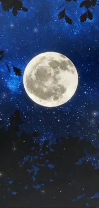 This captivating live wallpaper depicts a stunning painting of a full moon in a starry night sky, with bats flying overhead and intricate trees in the background
