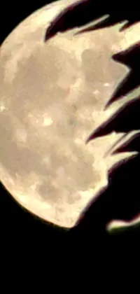 Atmosphere Moon Crescent Live Wallpaper