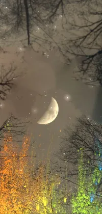 Atmosphere Moon Nature Live Wallpaper