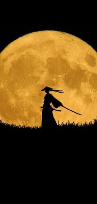 This captivating live wallpaper features a stunning image of a lone figure standing on a hill illuminated by the silver light of a full moon