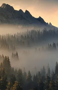 Atmosphere Mountain Ecoregion Live Wallpaper