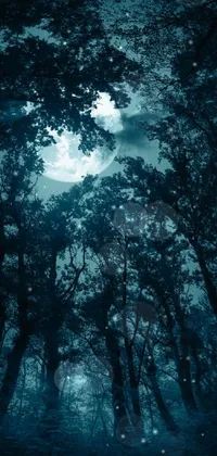 Immerse yourself in the enchanting and eerie atmosphere of a dark forest with this phone live wallpaper! This unique wallpaper features a dense forest with tall trees, creating an illusion of a dense canopy