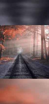 Transform your phone's home screen into a picturesque forest with this beautiful train track live wallpaper