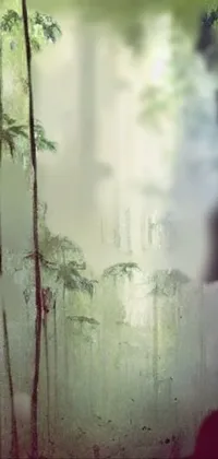 Atmosphere Nature Natural Landscape Live Wallpaper
