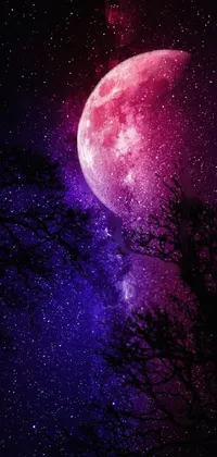 Decorate your phone screen with the stunning full moon live wallpaper