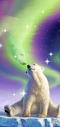 Atmosphere Photograph Polar Bear Live Wallpaper