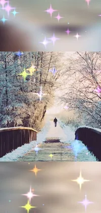 Get lost in the wonders of winter with this charming phone live wallpaper
