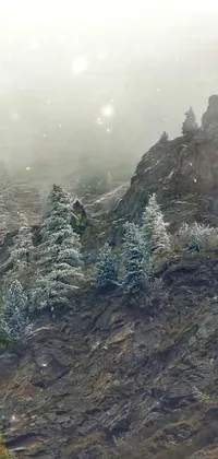 This phone live wallpaper features a stunning autumn scene of trees alongside a mountain