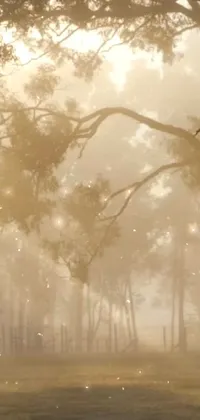 Atmosphere Plant Fog Live Wallpaper