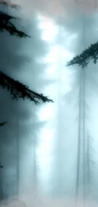 This live wallpaper depicts a person walking along a dark path in a mysterious forest