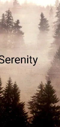 Get lost in the serene beauty of this live wallpaper for your phone! This atmospheric picture features a foggy forest shrouded in mist, with bold and distressed lettering in the center reading "Serenity"