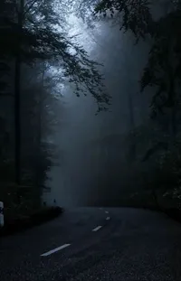 Atmosphere Plant Road Surface Live Wallpaper