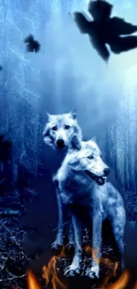 wolf and fire Live Wallpaper