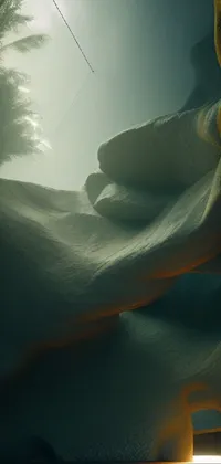 Atmosphere Plant Water Live Wallpaper