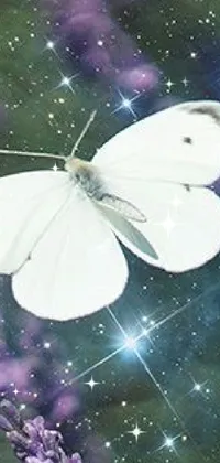 Atmosphere Pollinator Insect Live Wallpaper
