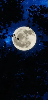 The phone live wallpaper showcases a serene and magical outdoor setting with a bird and full moon
