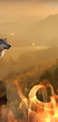 Adorn your screen with our incredible live wallpaper featuring a lone wolf standing atop a cliff, looking out upon a breathtaking landscape in West Virginia