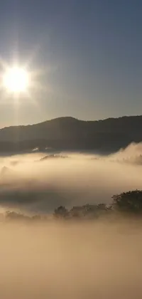 Transform your phone screen into a stunning masterpiece of natural beauty with this live wallpaper! Behold the tranquil beauty of a misty valley illuminated by the bright yellow sun