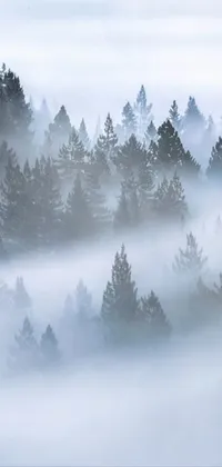 Atmosphere Sky Fog Live Wallpaper