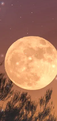 This live wallpaper depicts a beautiful full moon against a golden sunset sky in Arizona