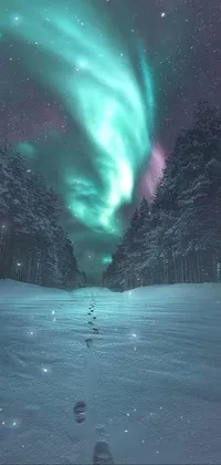 Immerse yourself in the breathtaking beauty of natural winter scenery with this phone live wallpaper