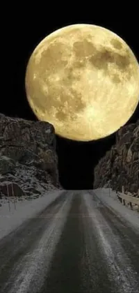 Experience the enchanted beauty of a snowy landscape complemented with a rising full moon through this phone live wallpaper